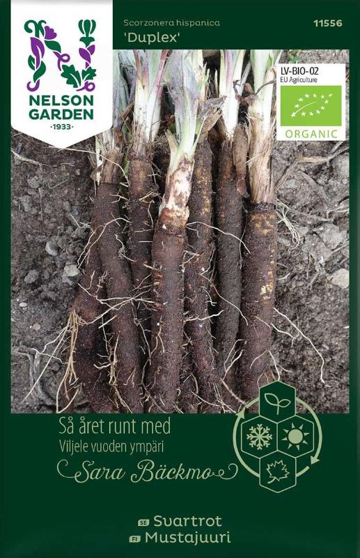 Svartrot 'Duplex' Organic frö - Fröer