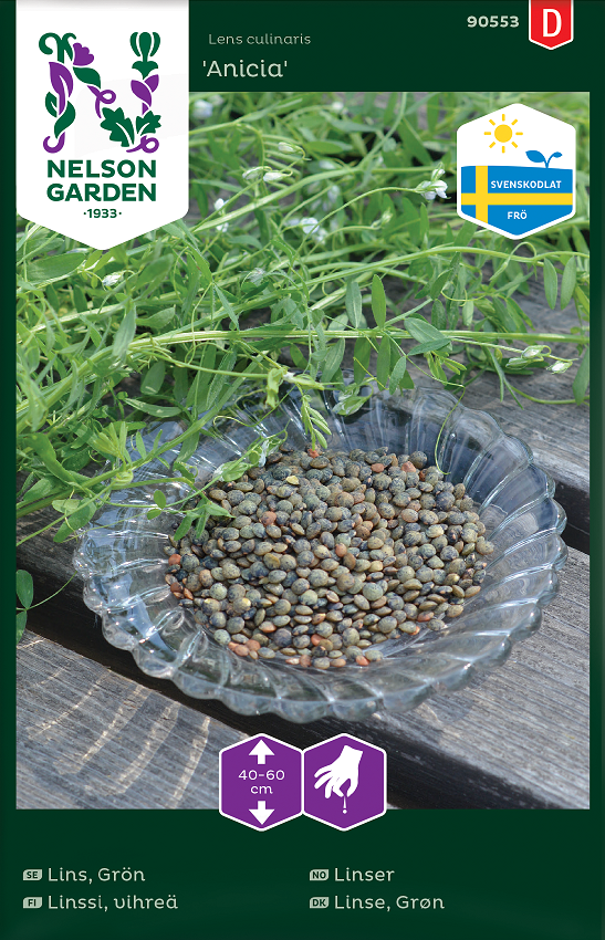 Linser 'Anicia' Ursp. Sverige frö - Fröer
