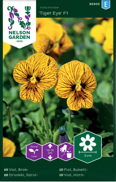 Viol 'Angel Tiger Eye' F1 frö - Fröer
