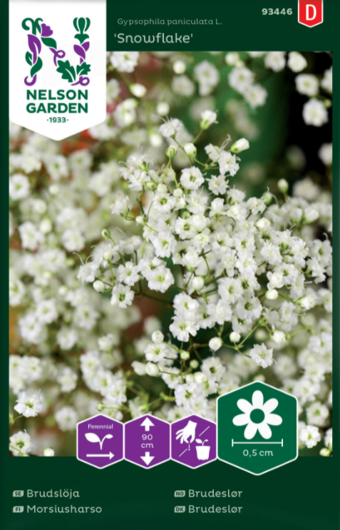 Brudslöja 'Snowflake' frö - Fröer