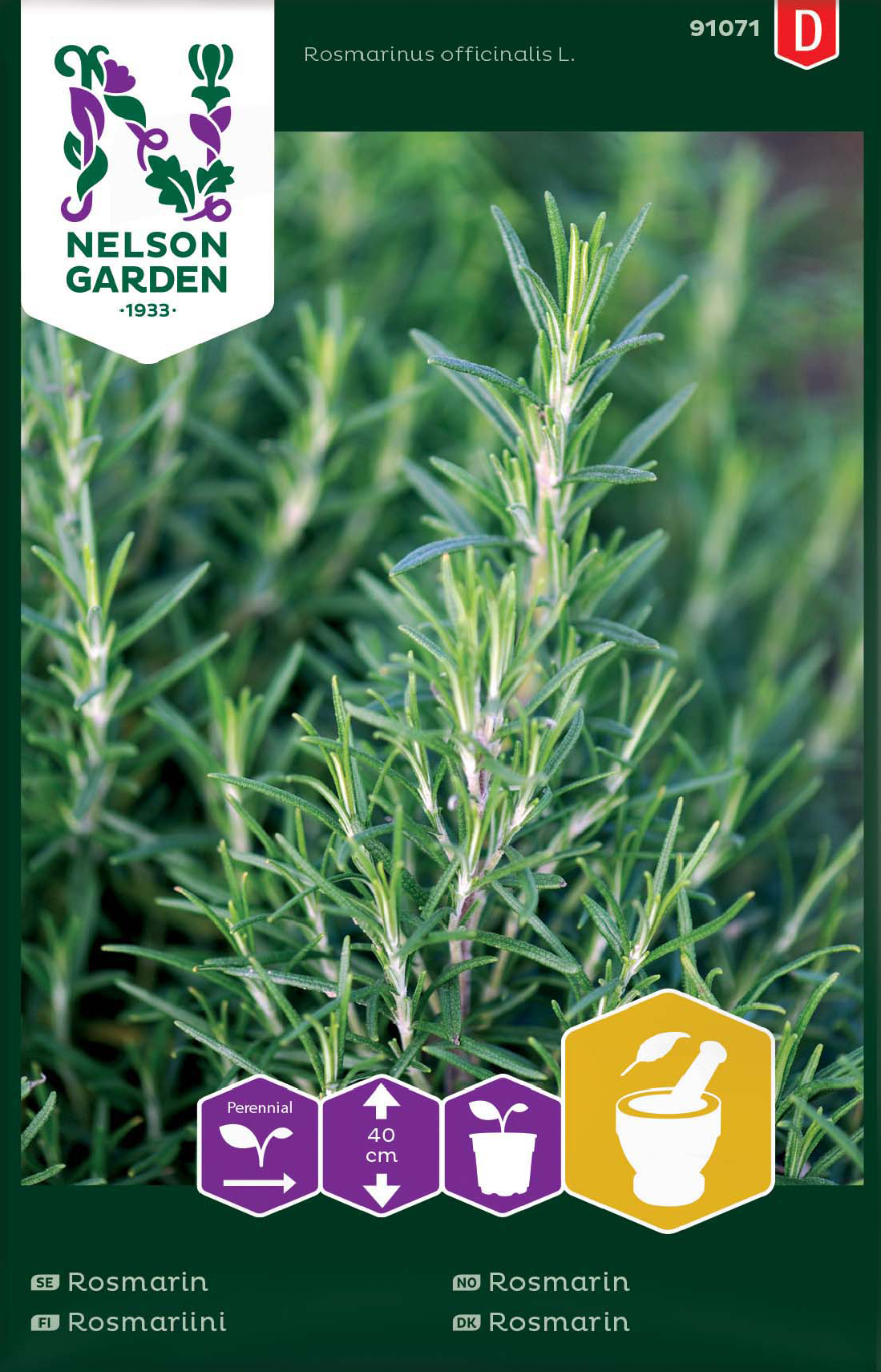 Rosmarin frö - Fröer