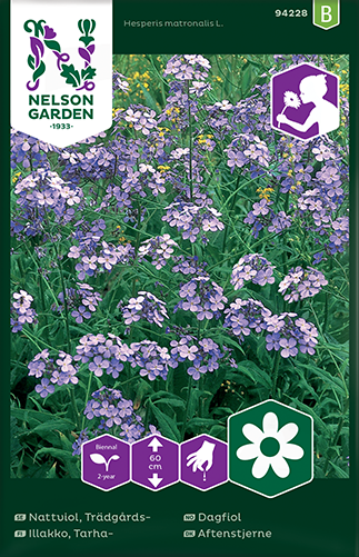 Trädgårdsnattviol - Fröer