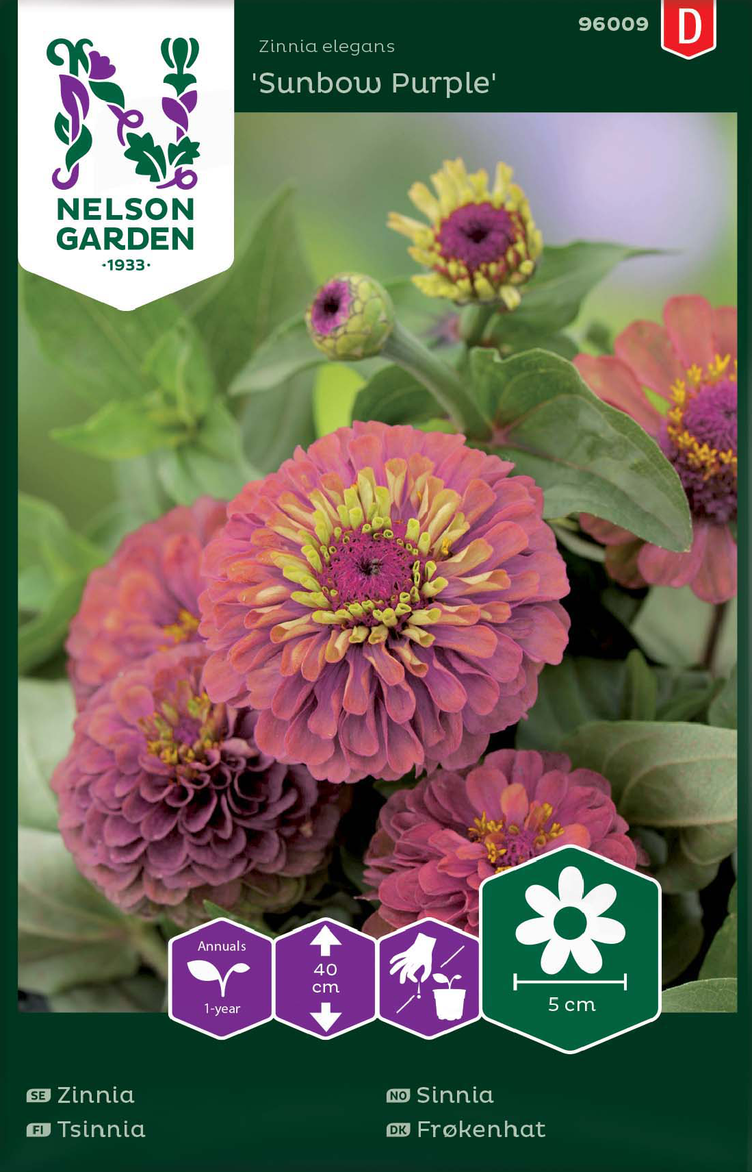 Zinnia 'Sunbow Purple' frö - Fröer