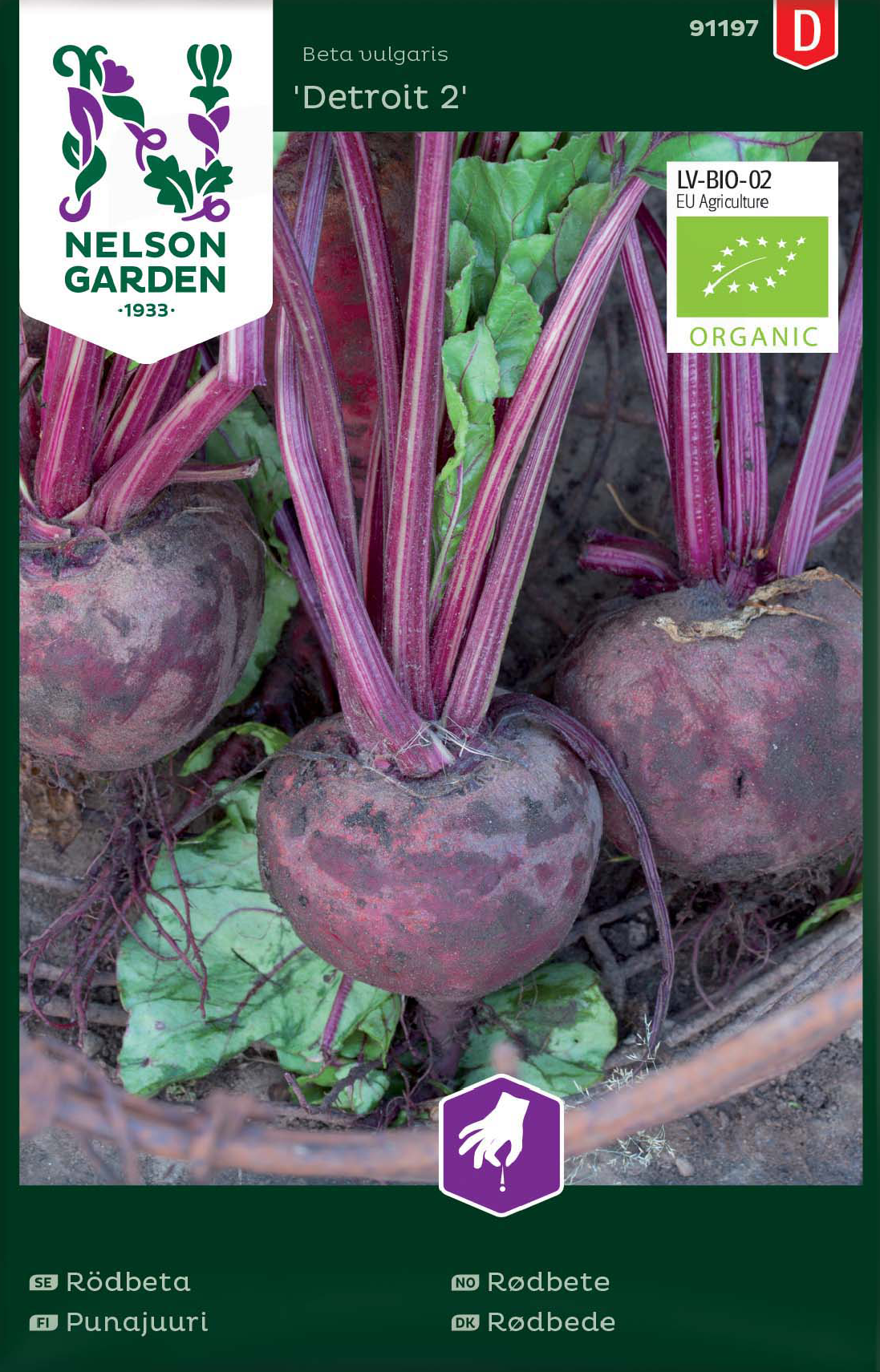 Rödbeta 'Detroit 2' Organic frö - Fröer