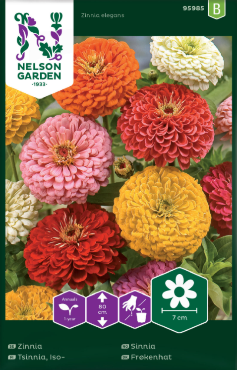 Zinnia Mix frö - Fröer