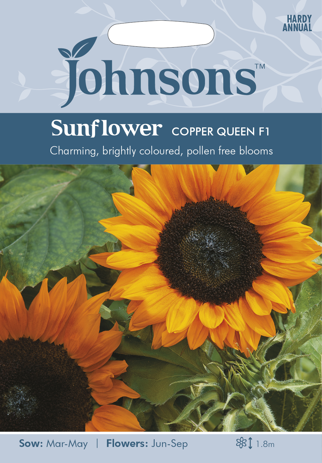 Solros 'Copper Queen F1', frö - Fröer