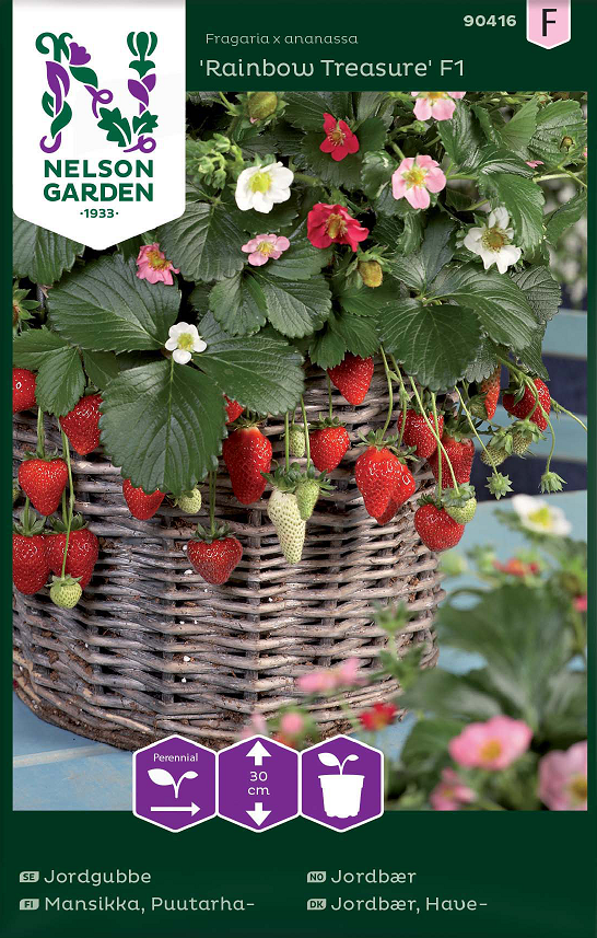 Jordgubbe 'Rainbow Treasure F1' - Fröer