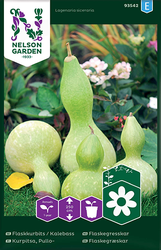 Flaskkurbits / Kalebass frö - Fröer