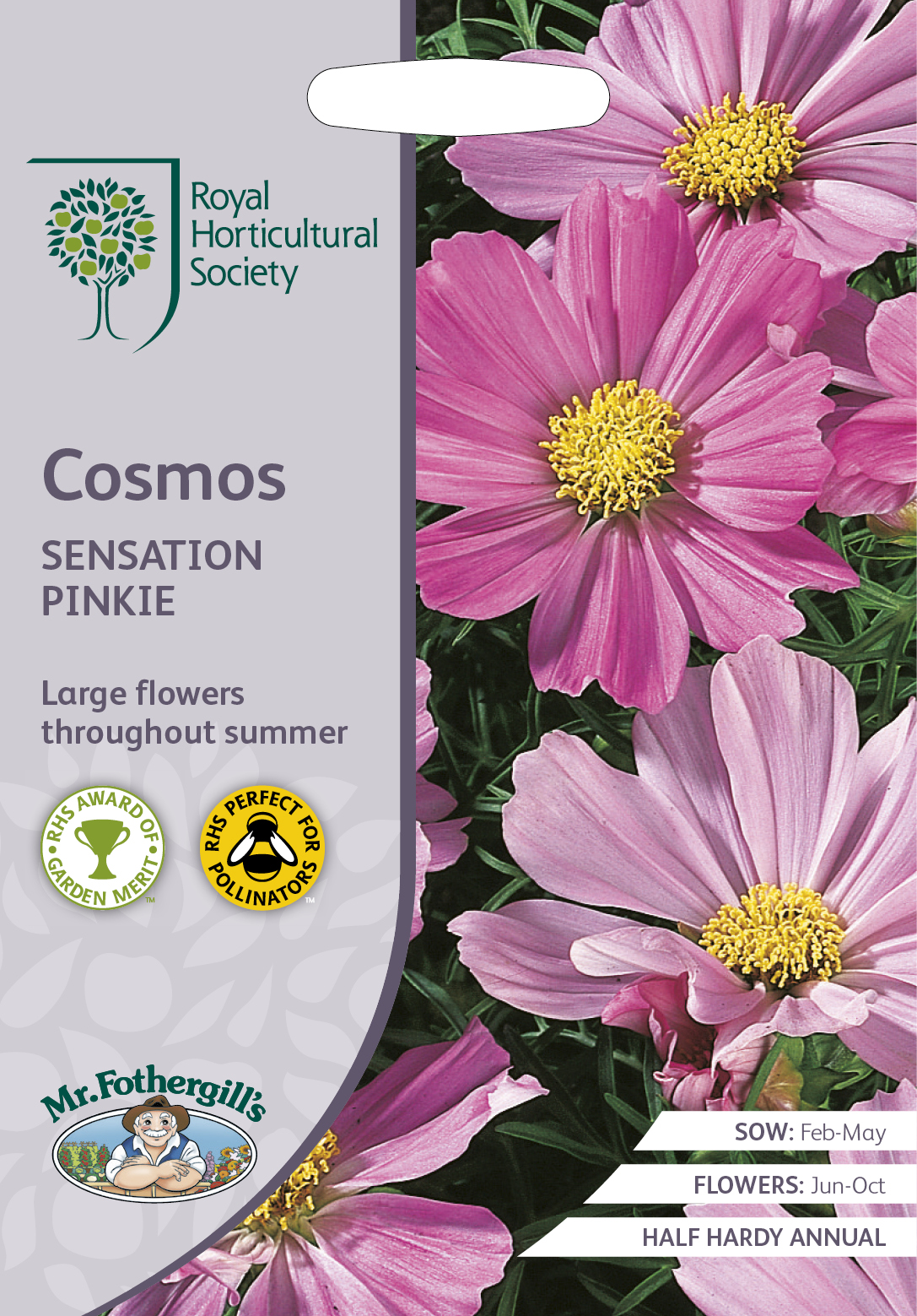 Rosenskära 'Sensation Pinkie', frö - Fröer
