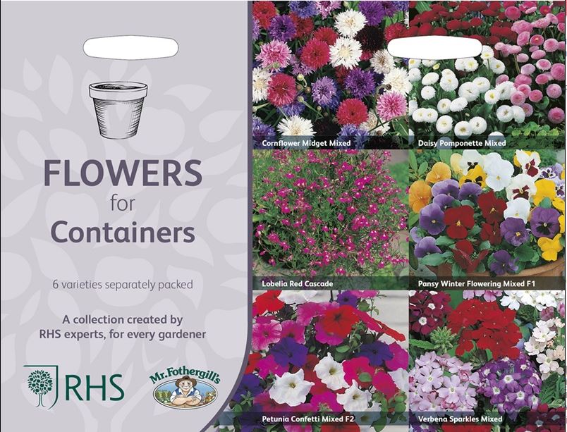Blommor för fjärilar och bin, 6 sorter - Fröer
