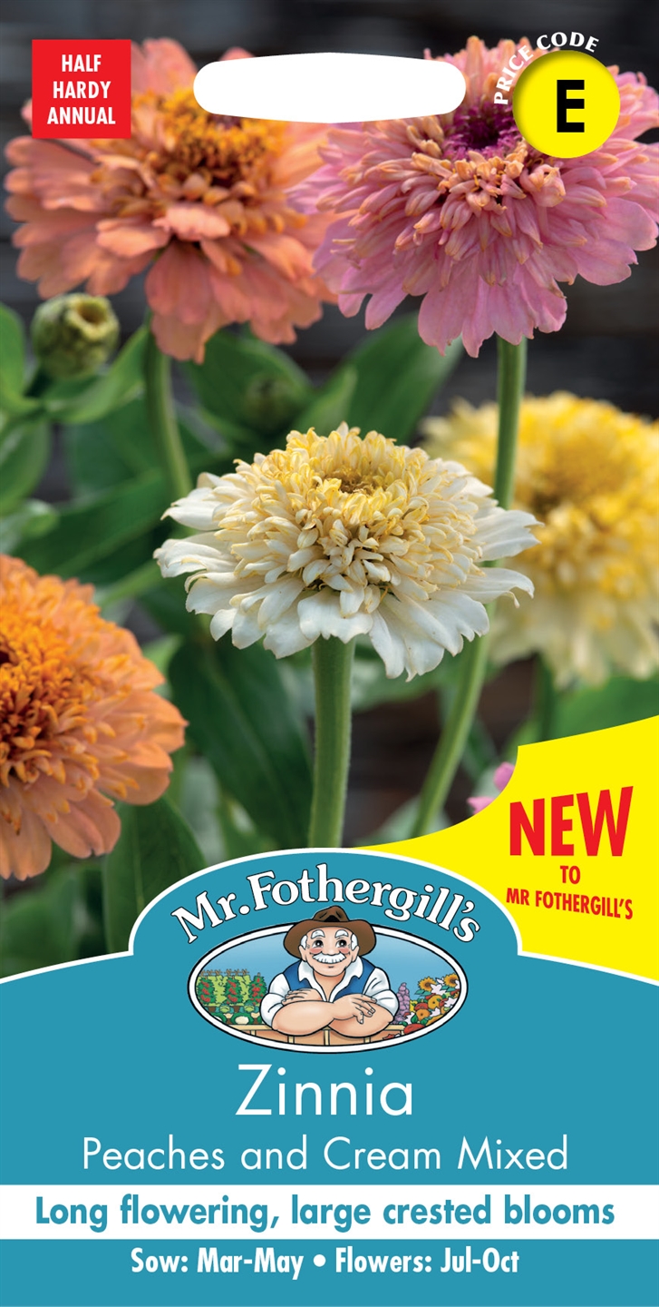 Zinnia 'Cresto Peaches & Cream Mixed' - Fröer