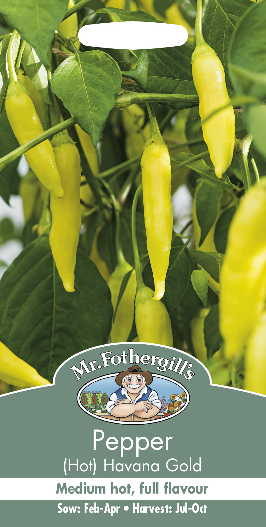 Chili (Hot) 'Havana Gold' - Fröer