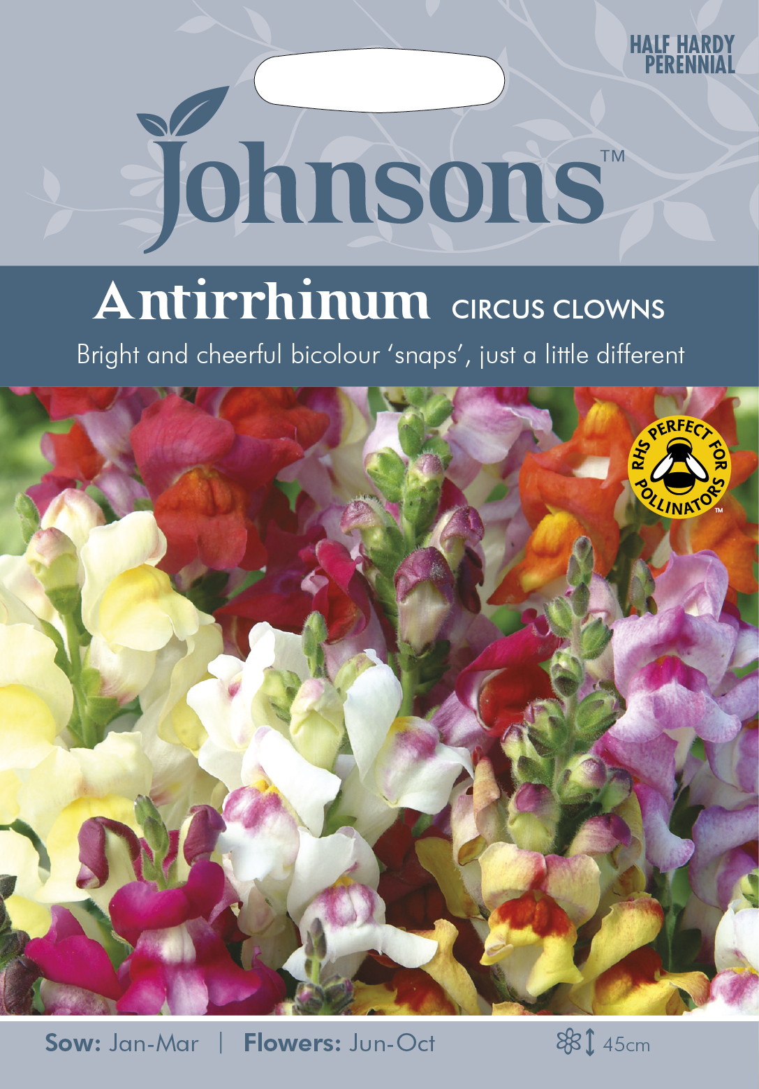 Lejongap 'Circus Clowns', frö - Fröer