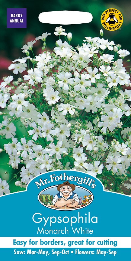 Sommarslöja 'Monarch White', frö - Fröer