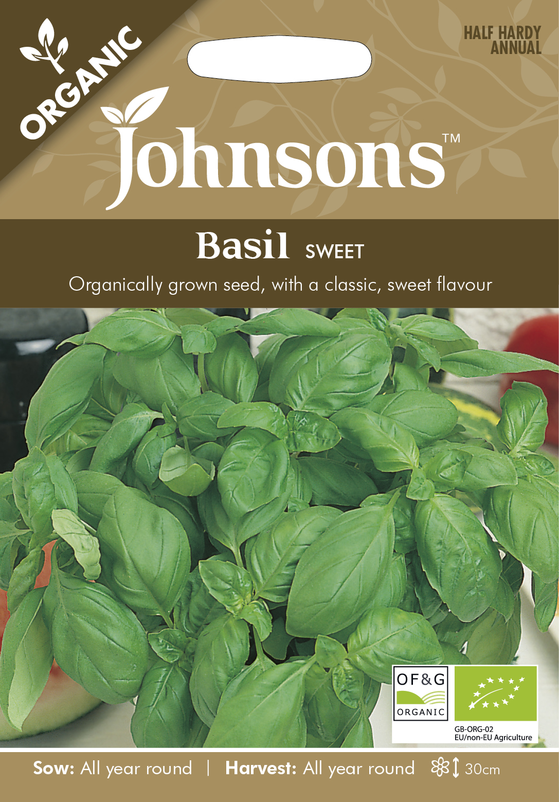 Basilika 'Sweet' Organic frö - Fröer