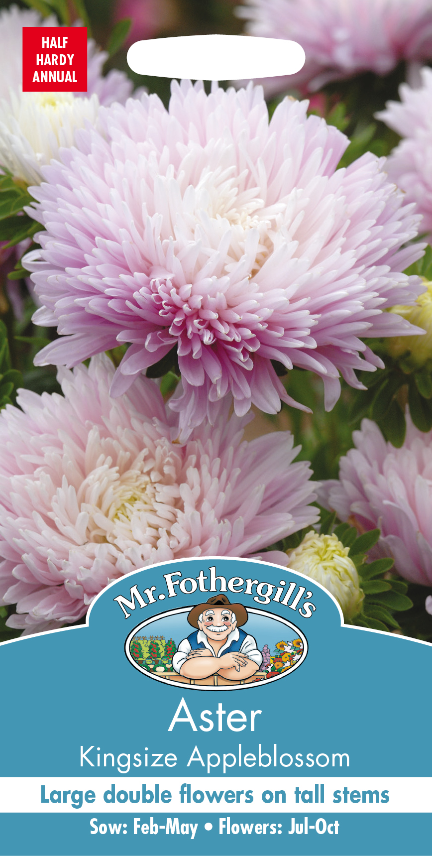 Aster 'Kingsize Appleblossom', frö - Fröer