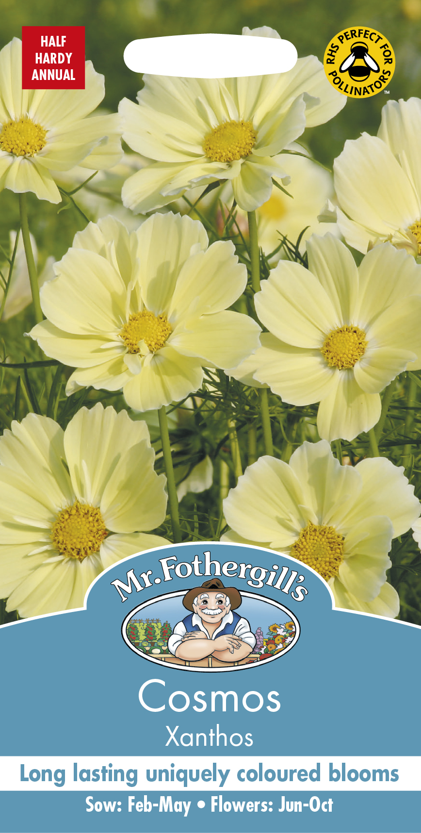 Rosenskära 'Xanthos', frö - Fröer