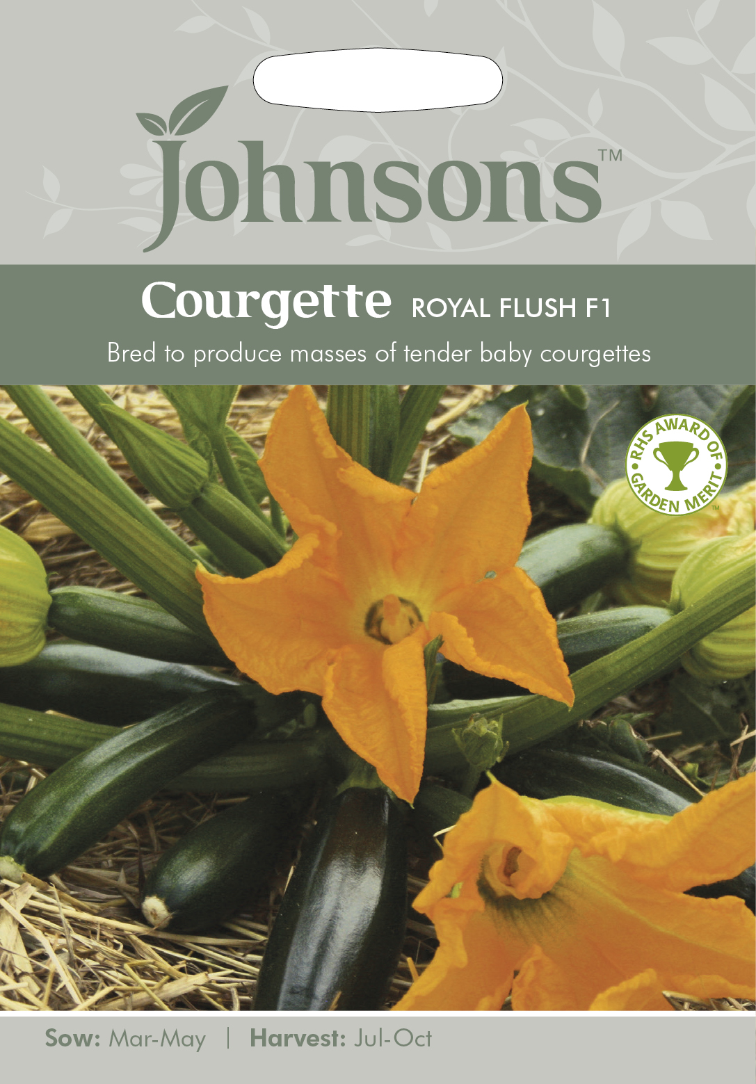Zucchini 'Royal Flush F1' - Fröer