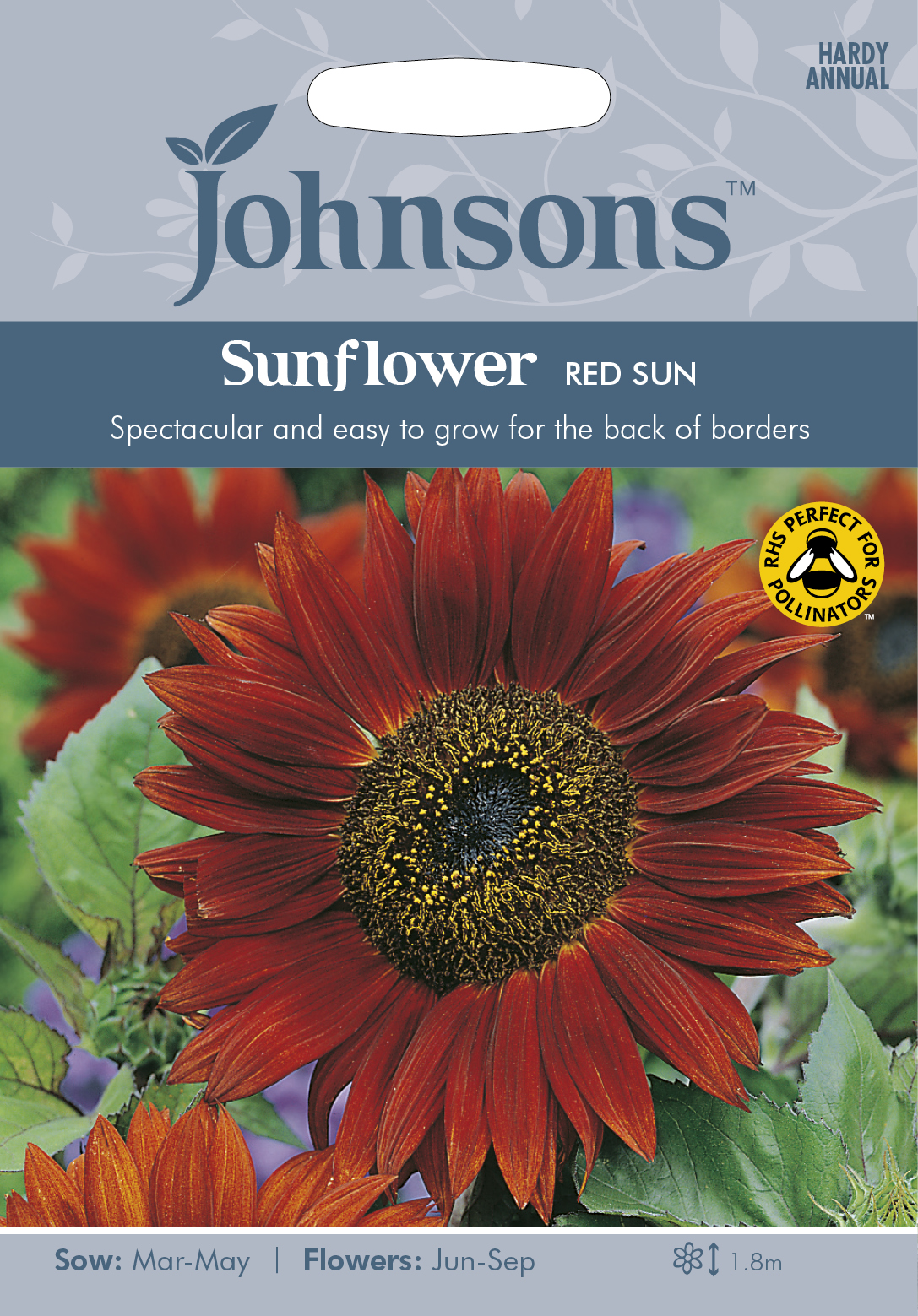 Solros 'Red Sun', frö - Fröer