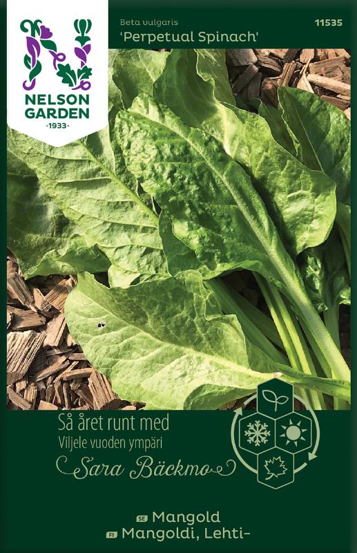 Mangold 'Perpetual Spinach' frö - Fröer