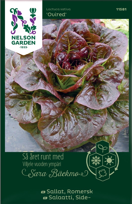 Romersksallat 'Ovired' - Fröer