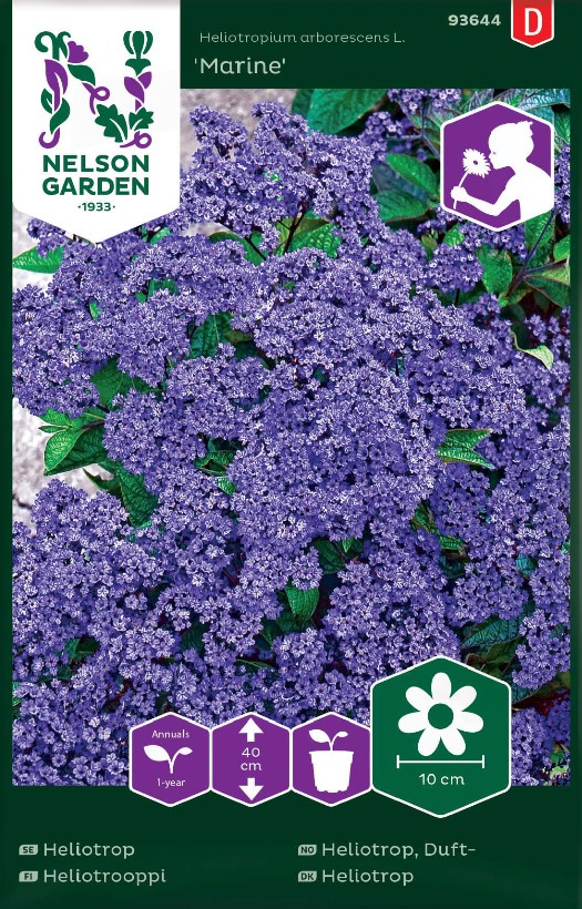 Heliotrop 'Marine' frö - Fröer