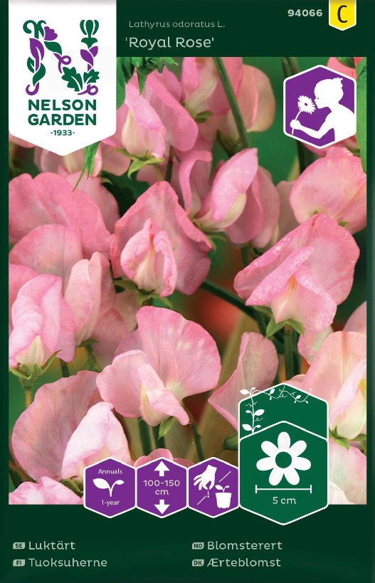 Luktärt 'Royal Rose' frö - Fröer