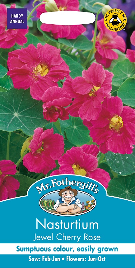Buskkrasse 'Jewel Cherry Rose', frö - Fröer