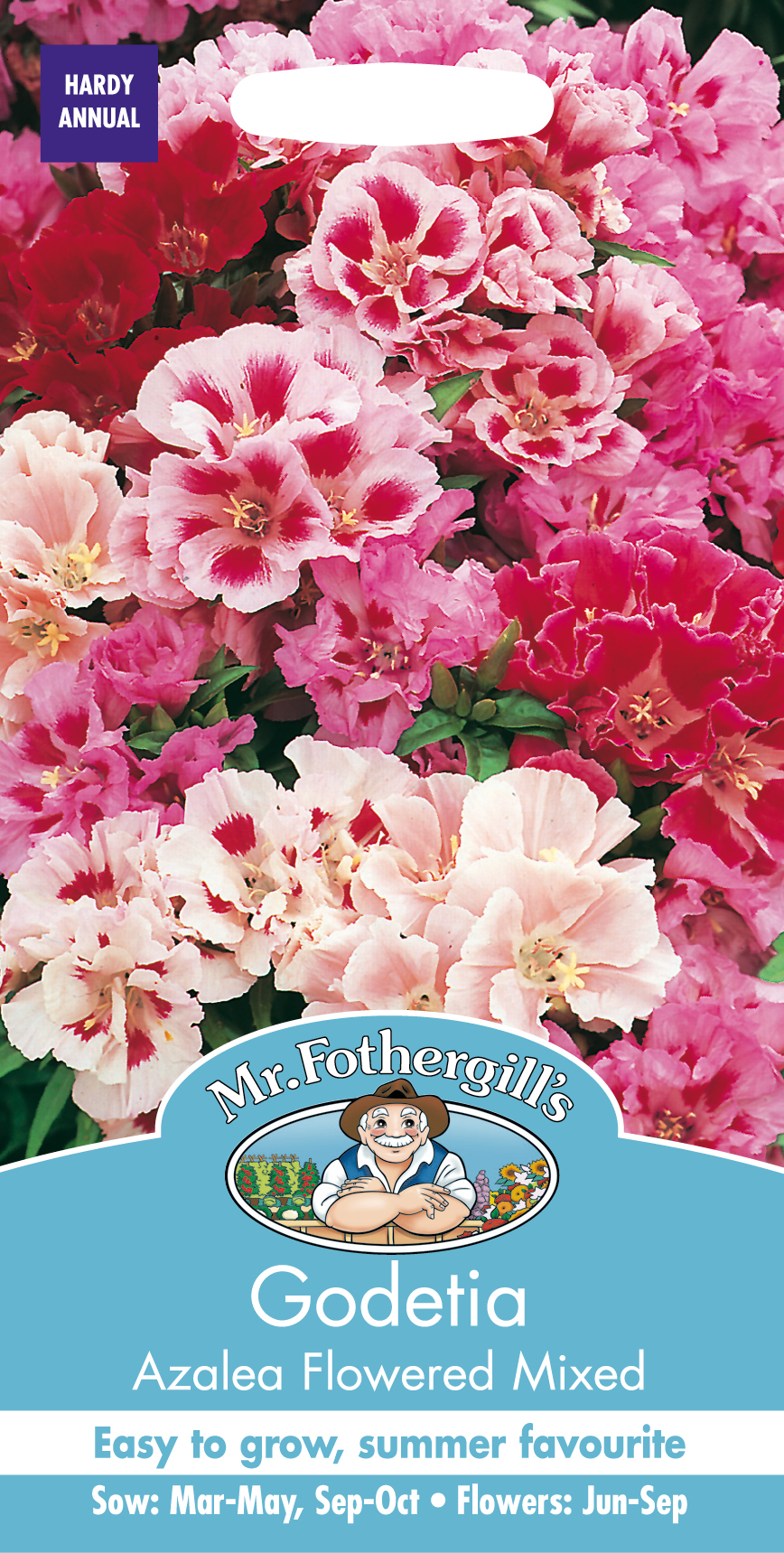 Atlasblomma 'Azalea Flowered' mix, frö - Fröer