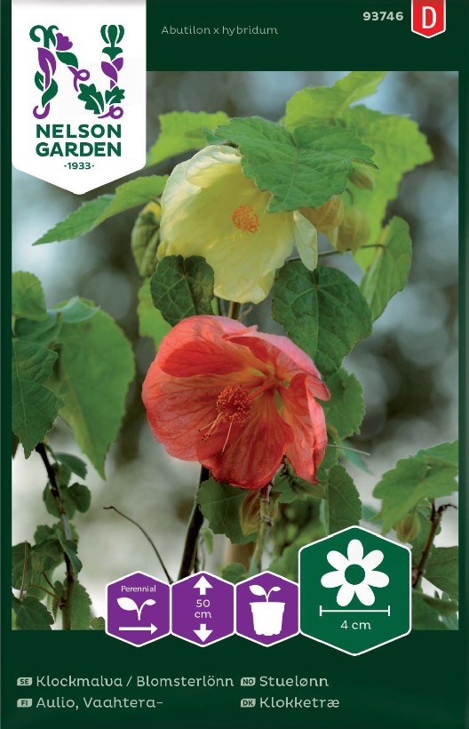 Klockmalva / Blomsterlönn frö - Fröer