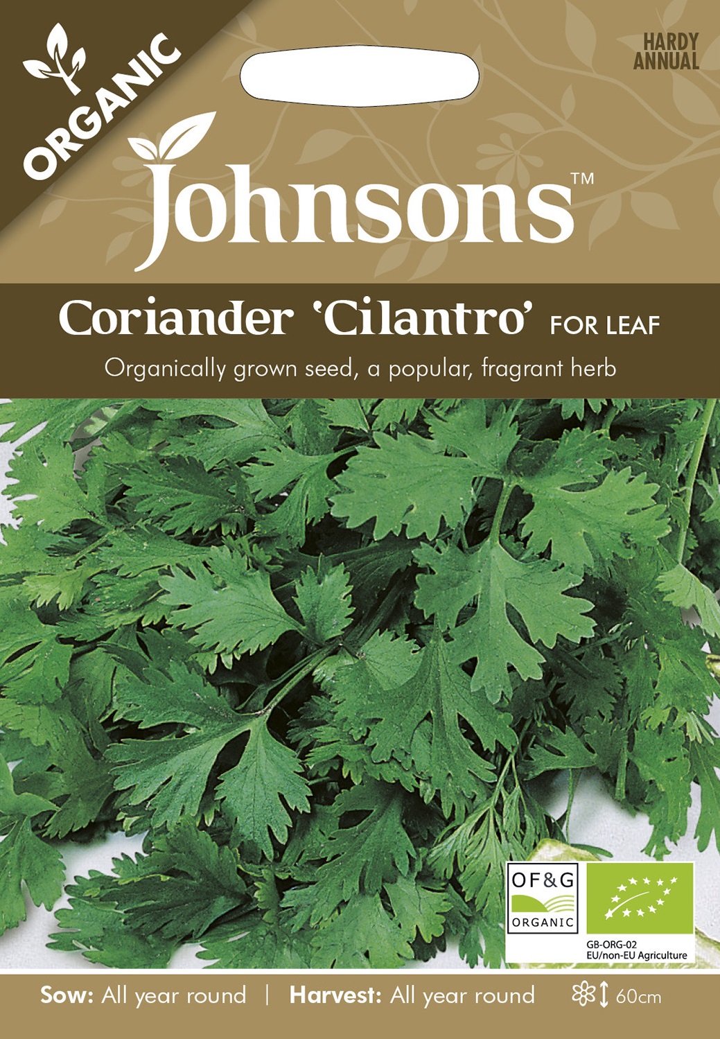 Koriander 'Cilantro' Organic frö - Fröer