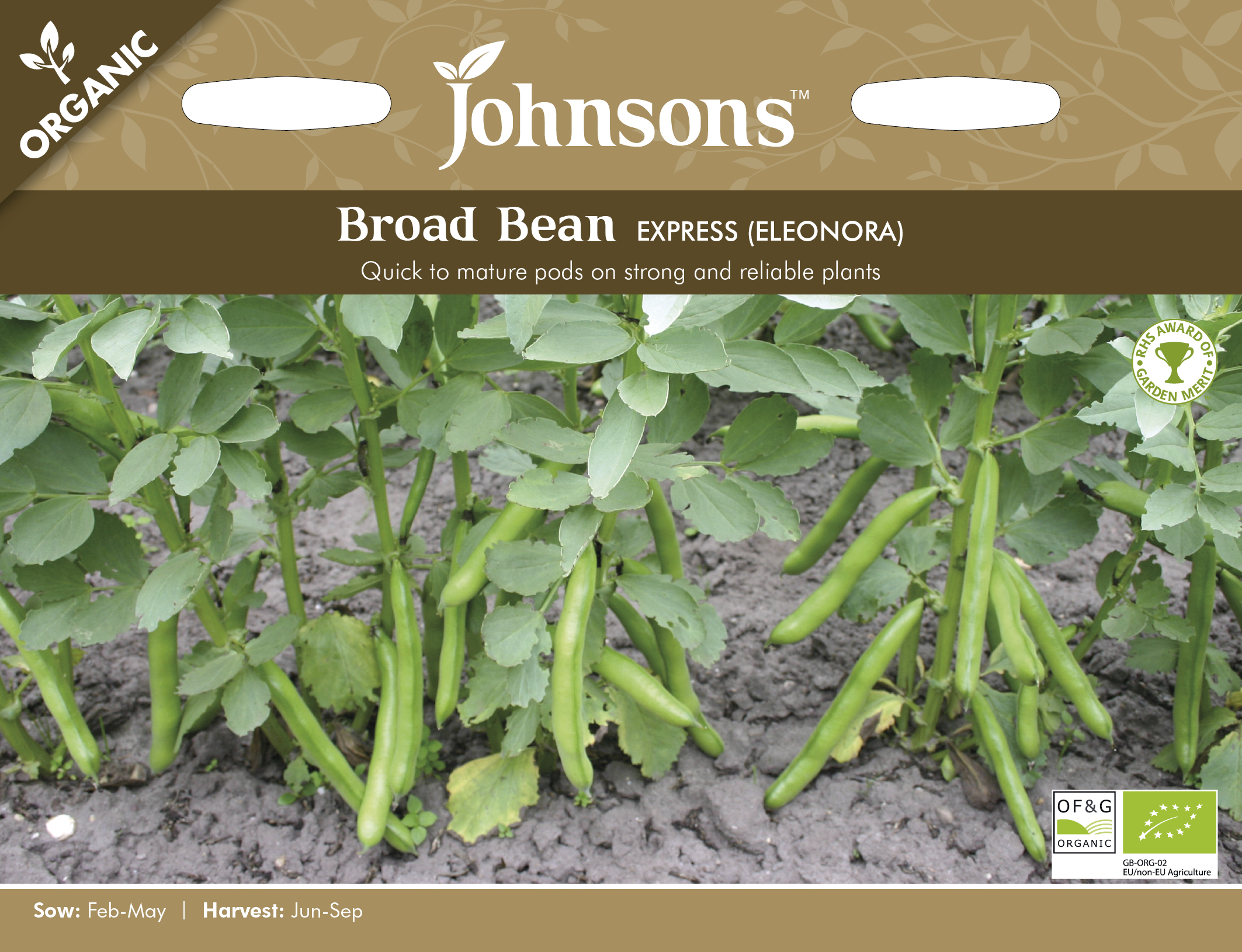 Bondböna 'Express' (Eleonora) Organic - Fröer