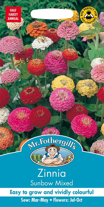 Zinnia 'Sunbow' mix, frö - Fröer