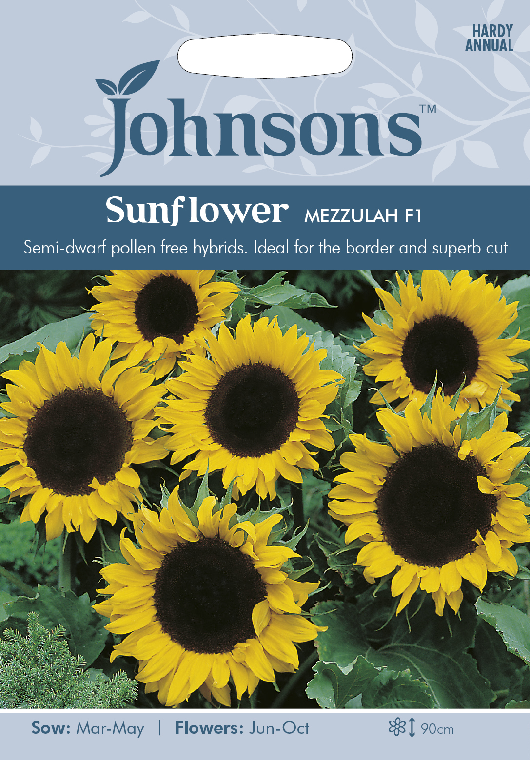 Solros 'Mezzulah F1', frö - Fröer
