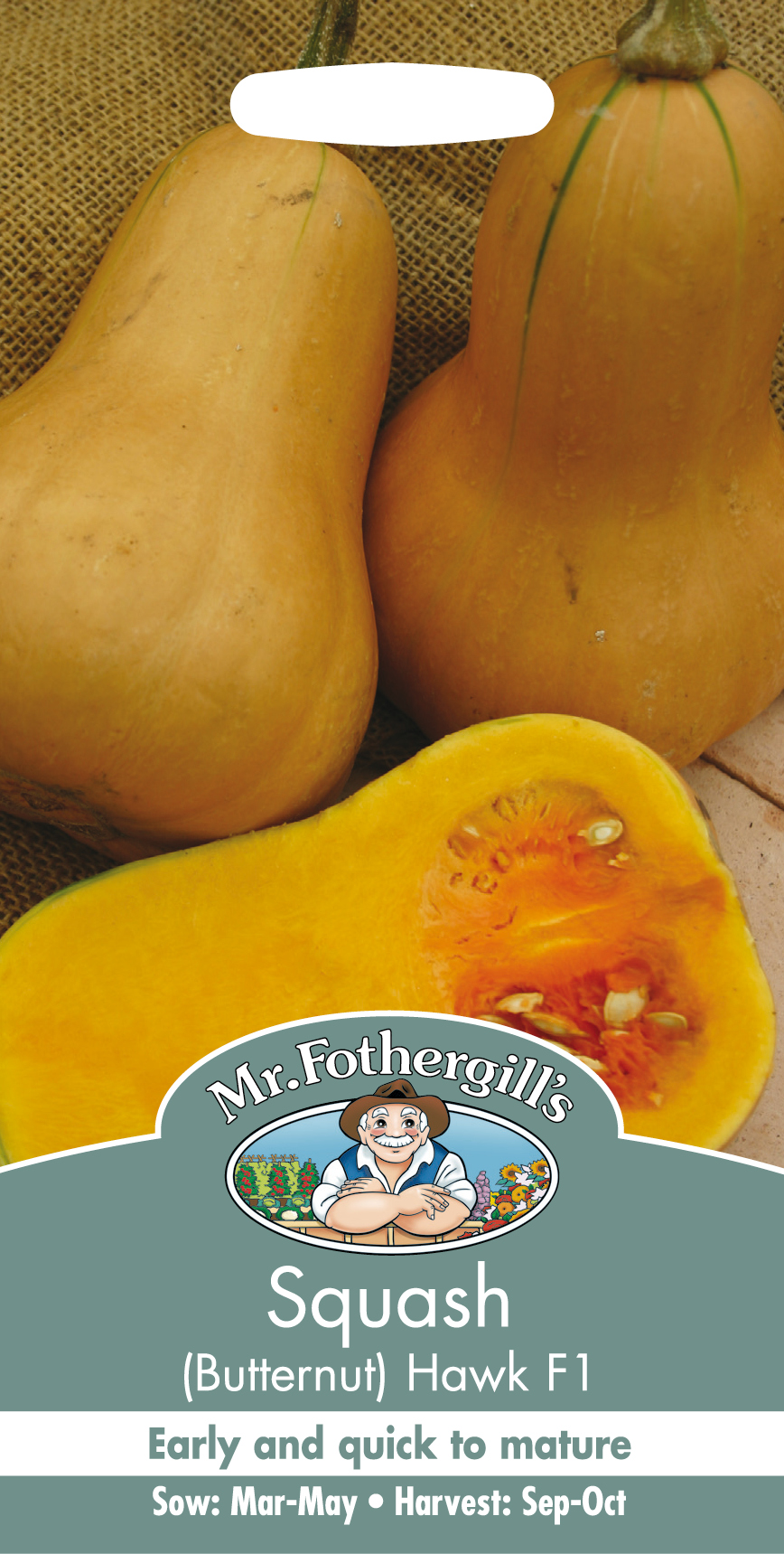 Squash(Butternut) 'Hawk F1' - Fröer