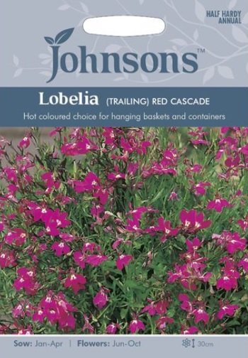 Hänglobelia 'Red Cascade', frö - Fröer