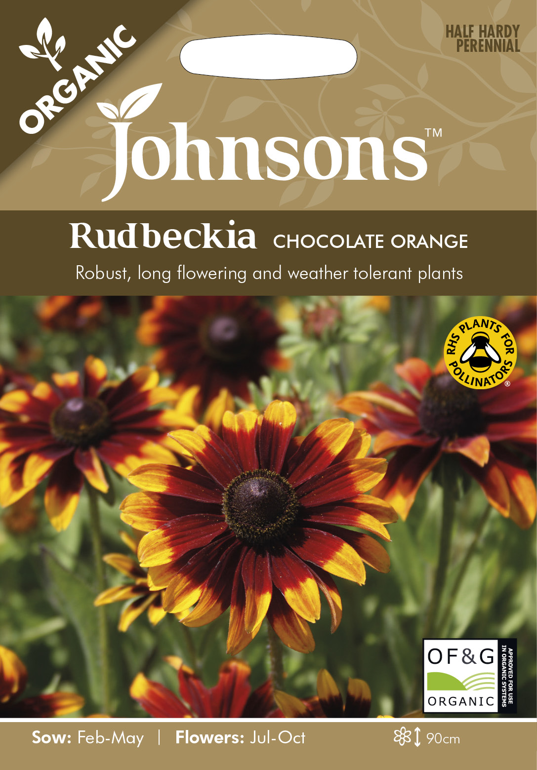 Rudbeckia 'Chocolate Orange' Organic - Fröer