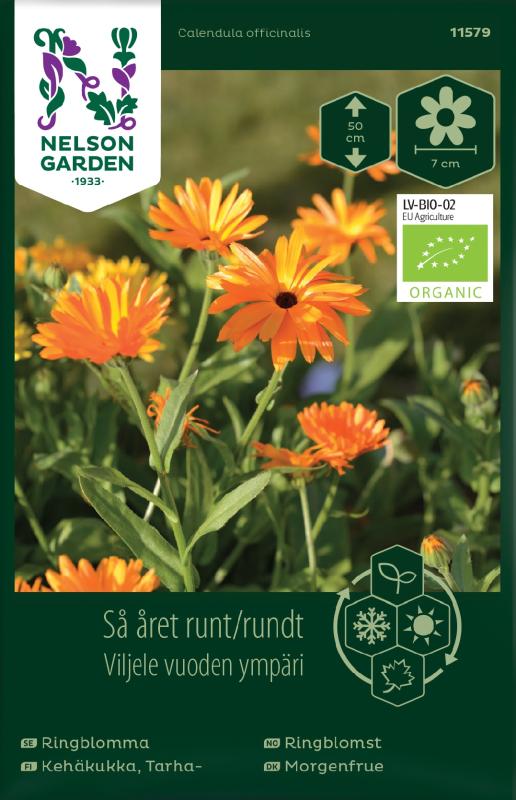 Ringblomma Organic frö - Fröer