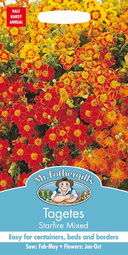 Liten tagetes 'Starfire' mix, frö - Fröer