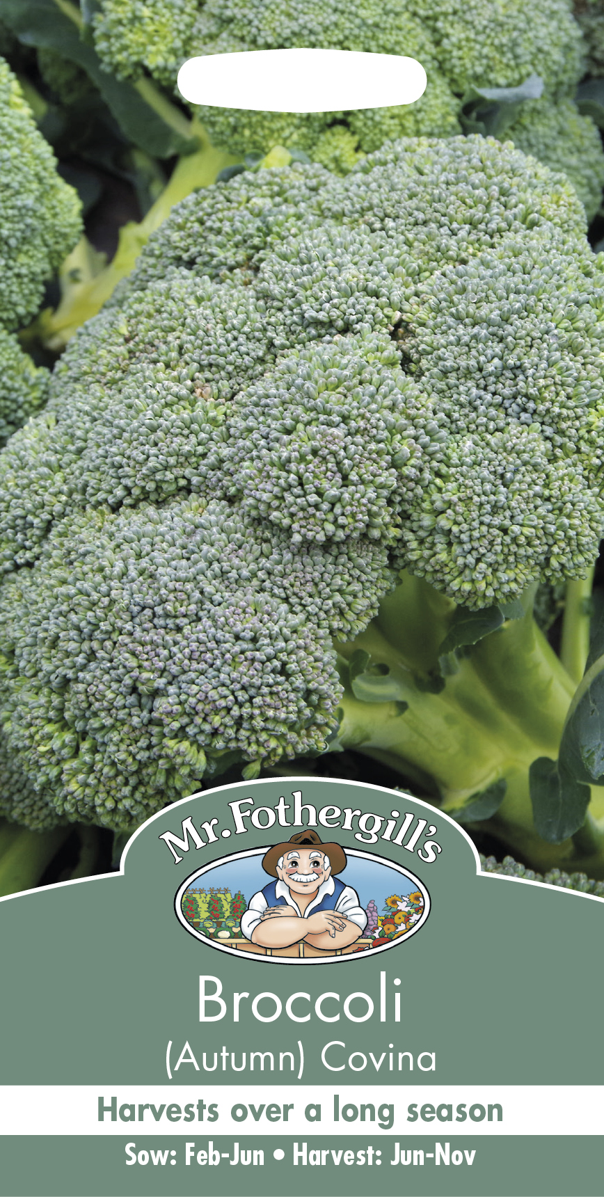 Broccoli (Höst) 'Covina' - Fröer