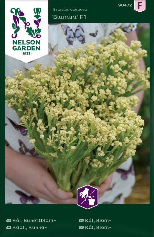 Bukettblomkål 'Blumini' F1 frö - Fröer