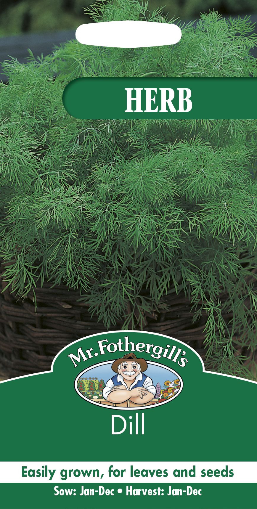 Dill (vanlig) - Frö - Fröer