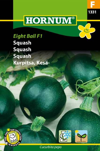 Squash 'Eight Ball F1', frö - Fröer