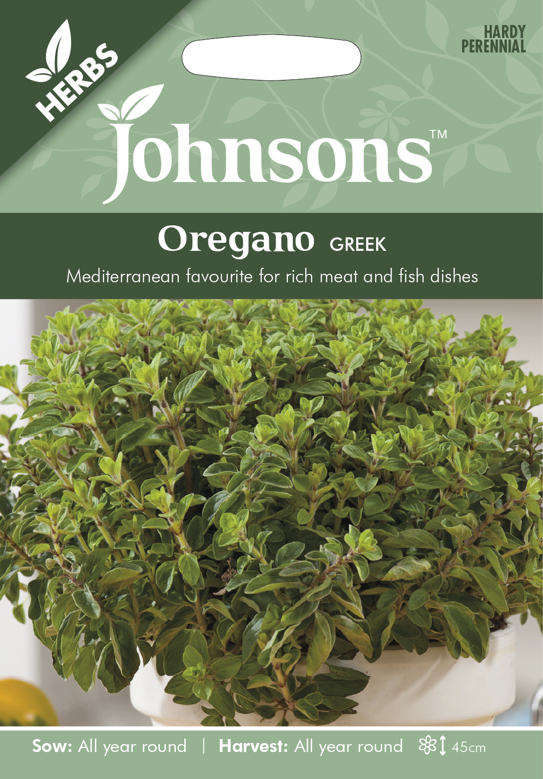 Grekisk Oregano frö - Fröer