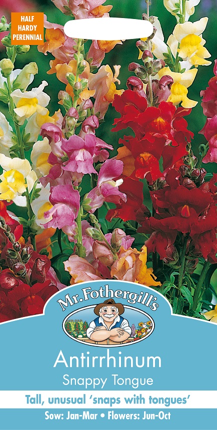 Lejongap 'Snappy Tongue', frö - Fröer