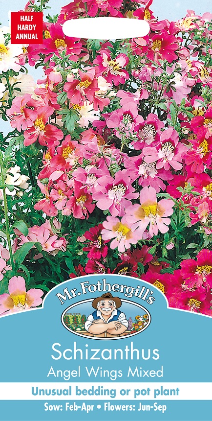 Prunkfjärilsblomster 'Angel Wings' mix, frö - Fröer