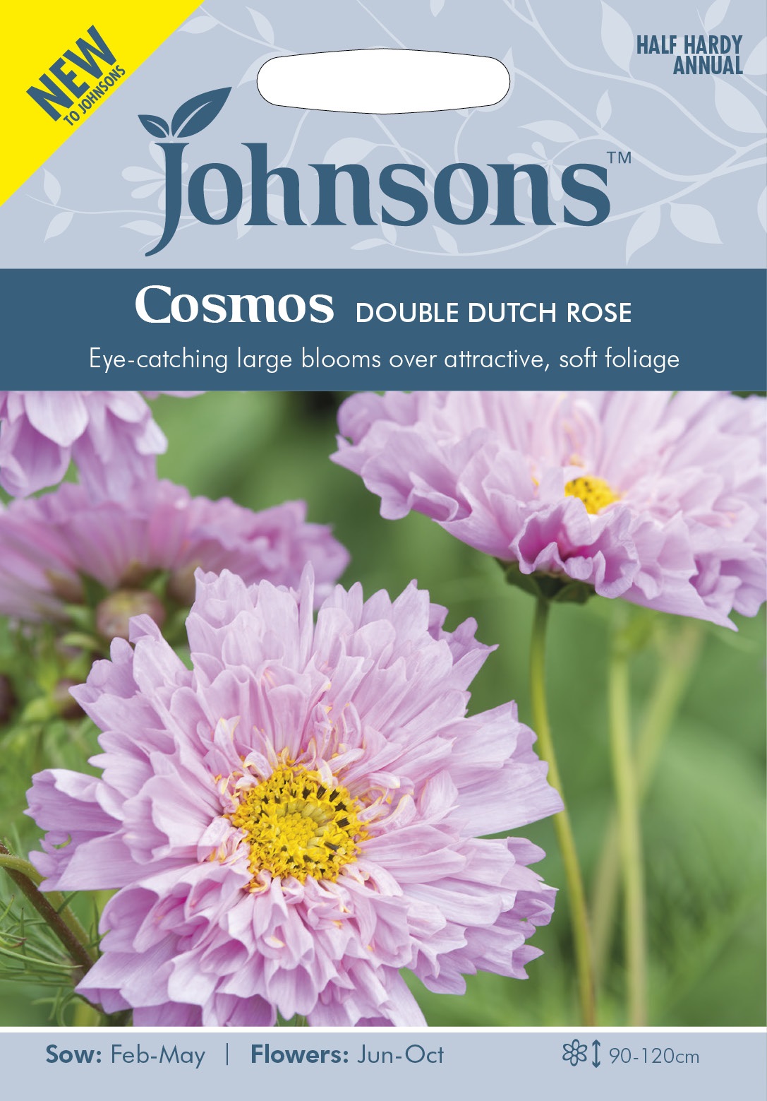 Rosenskära 'Double Dutch Rose' frö - Fröer