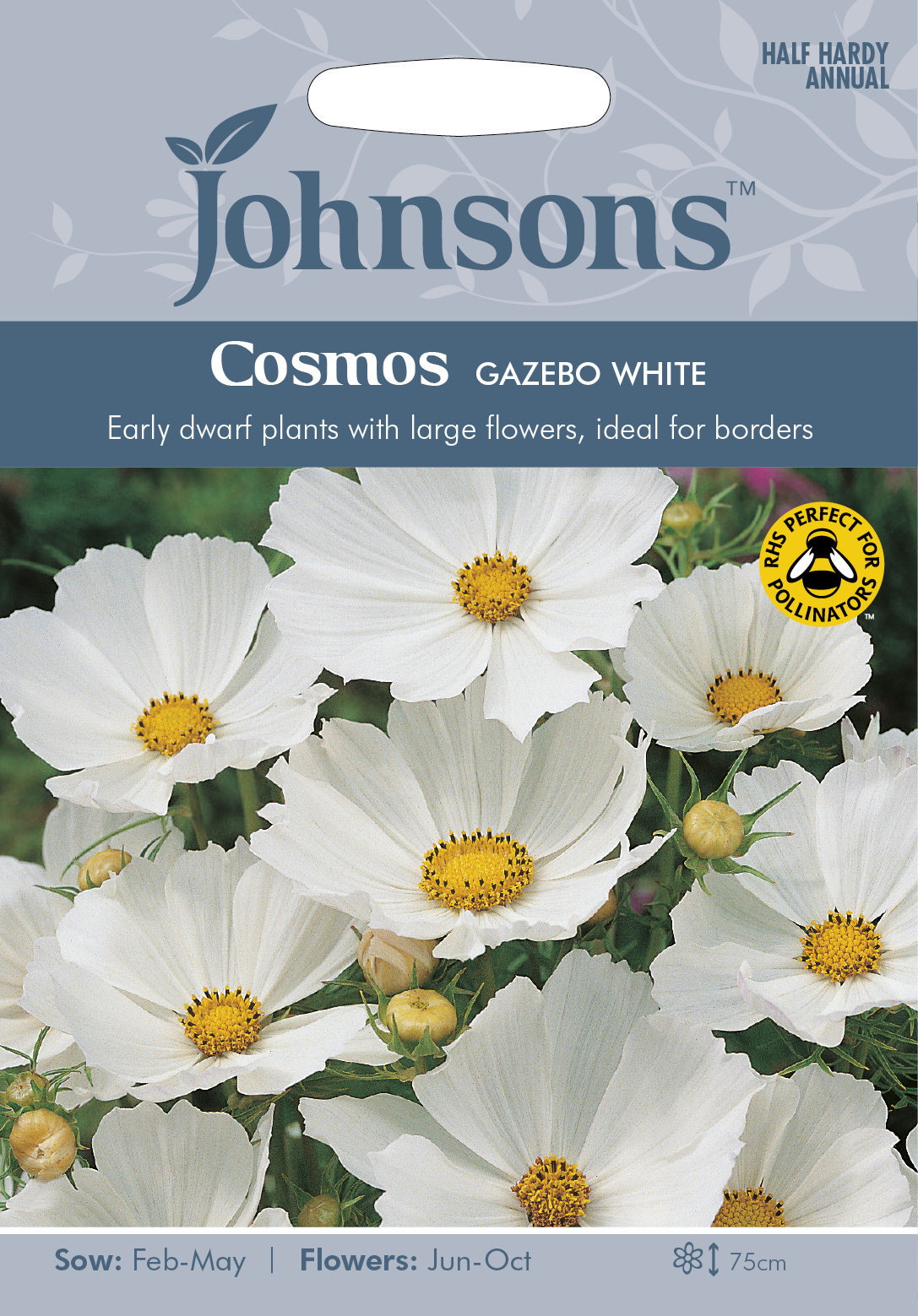 Rosenskära 'Gazebo White', frö - Fröer