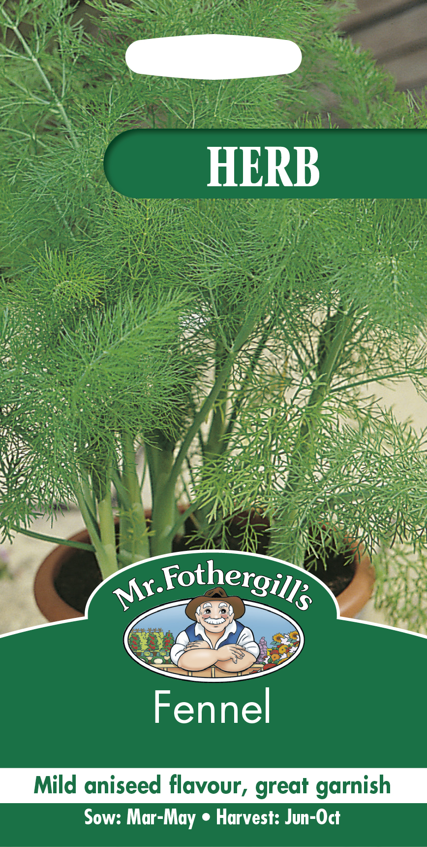 Fänkål frö - Fröer