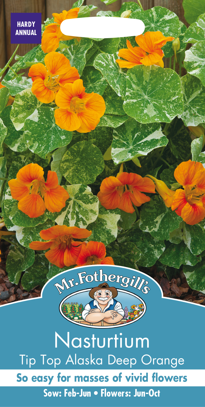 Buskkrasse 'T.T. Alaska Deep Orange', frö - Fröer